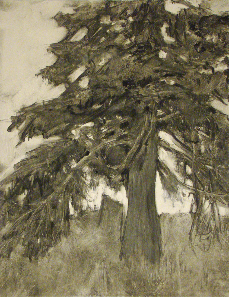 Spruce Tree (2010)