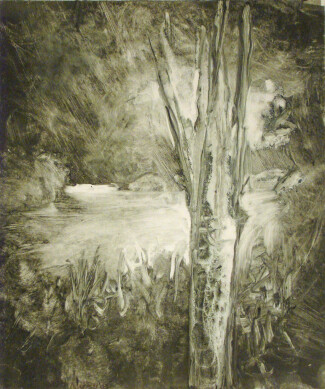 My Woods #4 (2010)
