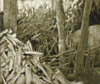 Woodpile, Lubec (2003)