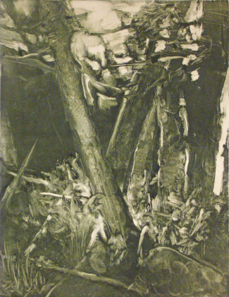 My Woods #2 (2010)